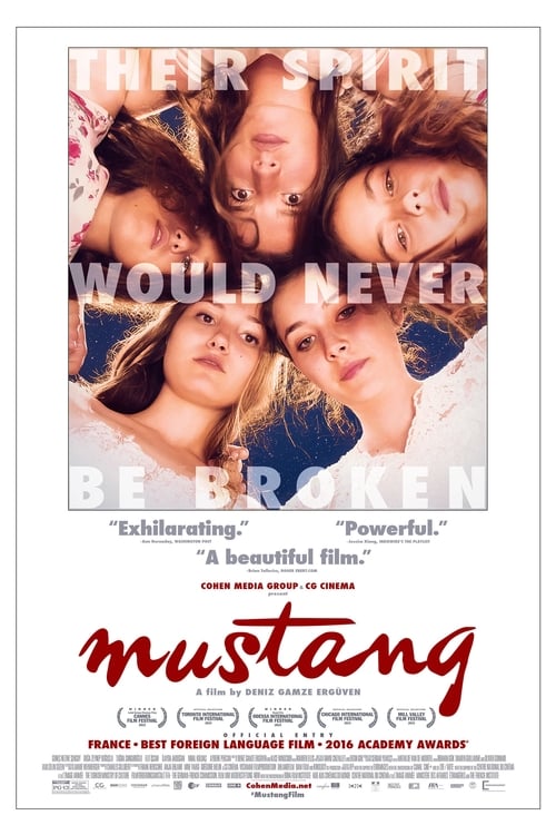 مشاهدة فيلم الحصان البري 2015 Mustang مترجم موقع قصة عشق الاصلي