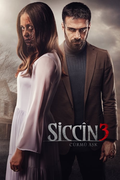 مشاهدة فيلم سجين 3 Siccin مترجم موقع قصة عشق الاصلي