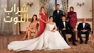 مسلسل شراب التوت الحلقة 95 مدبلجة قصة عشق 3isk