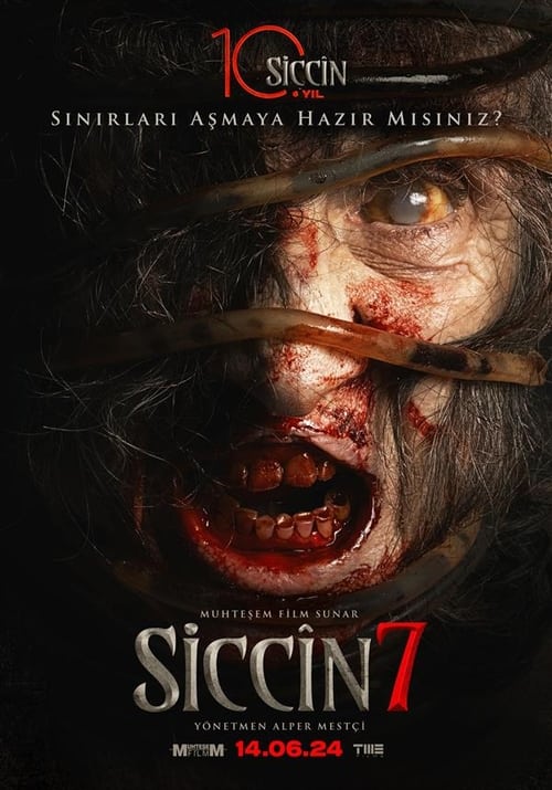 مشاهدة فيلم سجين 7 Siccin مترجم موقع قصة عشق الاصلي